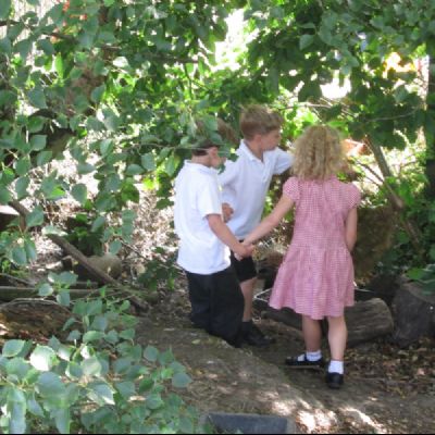 Click to see photos about Y1's woodland hunting trip today.